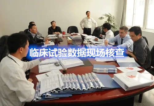 臨床試驗(yàn)數(shù)據(jù)現(xiàn)場(chǎng)核查準(zhǔn)備資料和注意事項(xiàng)