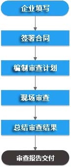 模擬飛檢服務(wù)流程